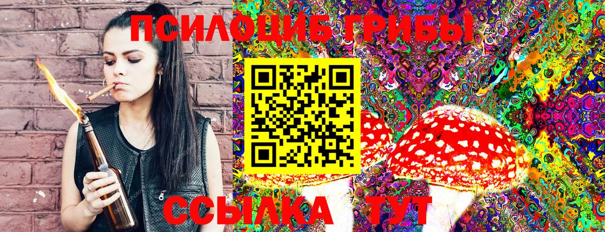 Галлюциногенные грибы GOLDEN TEACHER Свободный