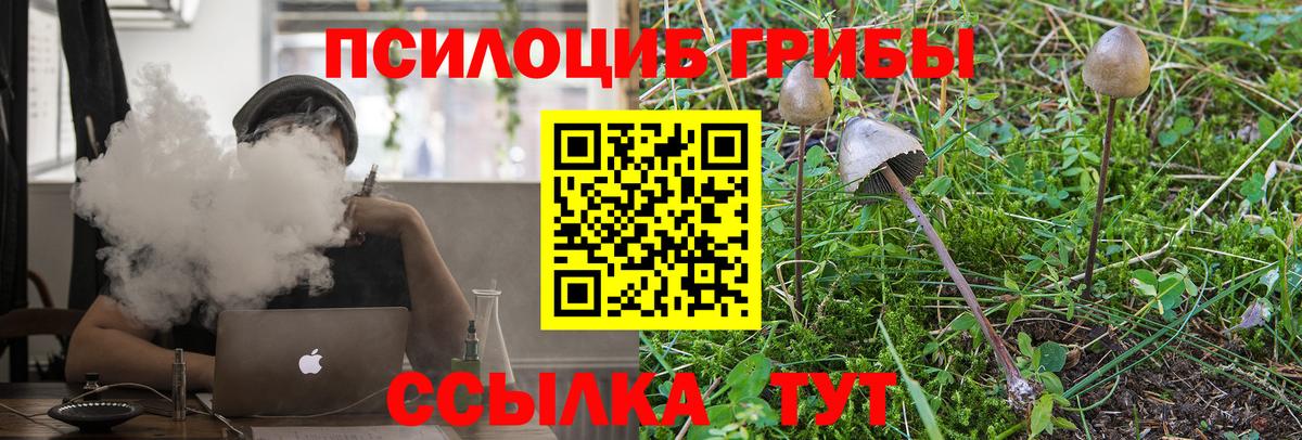 Свободный  Псилоцибиновые грибы мицелий  где купить наркоту  Вход с VPN 